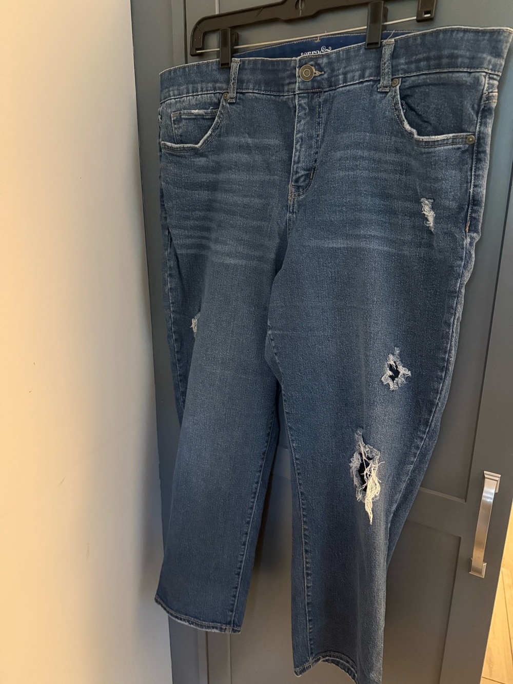Terra & Sky Distressed Cropped Jeans in Dark Blue